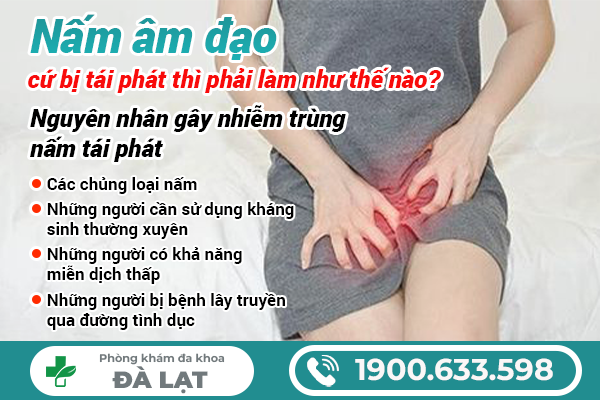 Hình ảnh minh họa